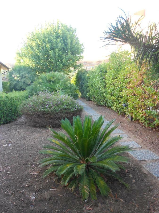 Il Gelsomino Holiday home